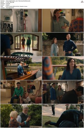 Agatha Raisin S01-S04 1080p AMZN WEB-DL X265-NGP
