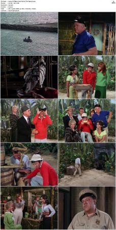 Gilligans Island S01 S03 DVDRip H264-NGP