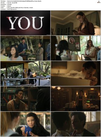 You S01 S04 1080p NF WEBRip DDP 5 1 x265-iVy