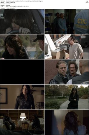 Sons of Anarchy S01-S07 SUPER-PACK 1080p WEBRip 10Bit DDP5.1 HEVC-d3g