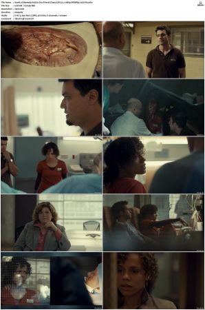 Remedy S01 S02 WEBRip EAC3 2 0 x265-iVy