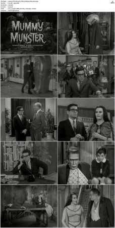 The Munsters 1964 S01 S02 DVDRip MPEG-NGP