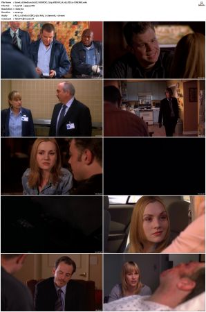 Medium S02 NORDiC 720p WEB-DL H 265 DD2 0-CiNEMiX