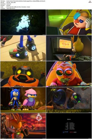 Sonic Prime S01 S03 WEBRip EAC3 5 1 1080p x265-iVy