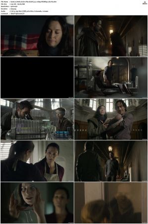 Helix S01 S02 WEBRip EAC3 5 1 1080p x265-iVy