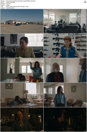 Barry S01 S04 SUPER-PACK WEBRip EAC3 5 1 1080p x265-iVy