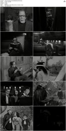 The Munsters 1964 S01 S02 DVDRip MPEG-NGP