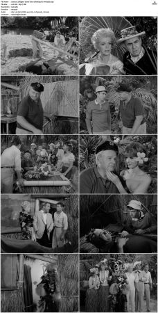 Gilligans Island S01 S03 DVDRip H264-NGP