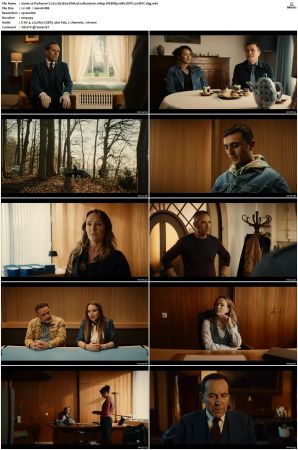 Professor T 2021 S01 S03 1080p WEBRip 10Bit DDP2 0 HEVC-d3g