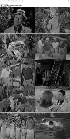 Gilligans Island S01 S03 DVDRip H264-NGP