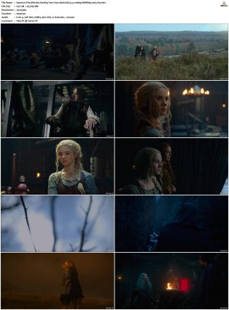 The Witcher S01 S03 WEBRip EAC3 5 1 1080p x265-iVy