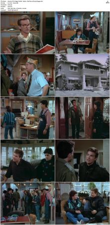The Hogan Family aka Valerie 1986 S01-S06 SUPER-PACK TVRip x264-NOGRP