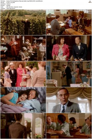 The Darling Buds of May 1991 S01 S03 720p WEB-DL HEVC x265 BONE
