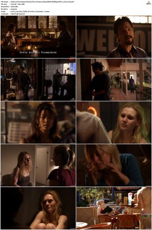 The Cleaner S01 S02 1080p AMZN WEBRip DDP 5 1 x265-iVy