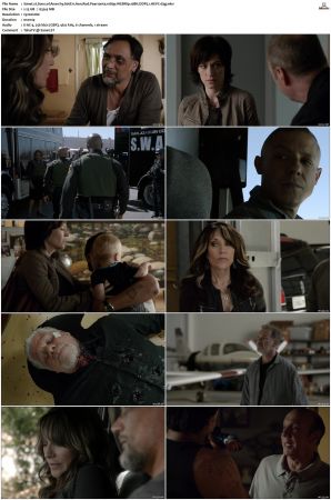 Sons of Anarchy S01-S07 SUPER-PACK 1080p WEBRip 10Bit DDP5.1 HEVC-d3g