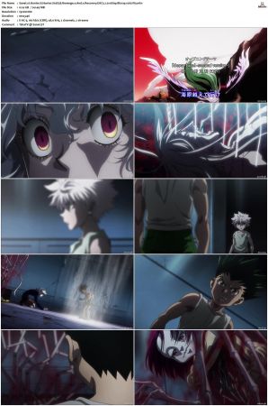 Hunter X Hunter S01-S03 Bluray EAC3 2 0 1080p x265-iVy