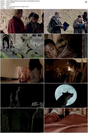 Wolfblood S01 S05 WEBRip EAC3 2 0 1080p x265-iVy