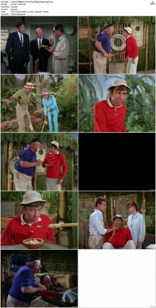 Gilligans Island S01 S03 DVDRip H264-NGP
