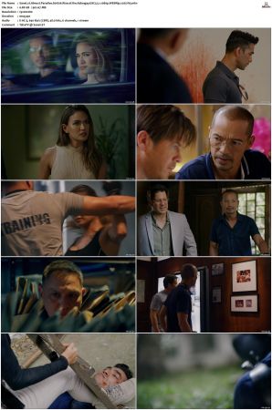 Almost Paradise S01 S02 WEBRip EAC3 5 1 1080p x265-iVy