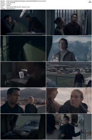 One Lane Bridge S01 S03 1080p AMZN WEBRip DDP 20 x265-iVy