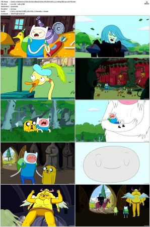 Adventure Time 2008 S01-S10 + Fionna and Cake 1080p Bluray EAC3 2.0 x265-iVy