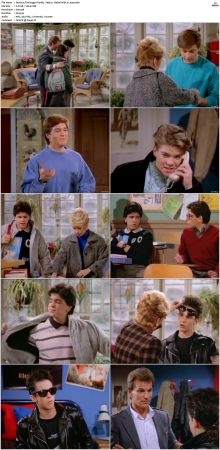 The Hogan Family aka Valerie 1986 S01-S06 SUPER-PACK TVRip x264-NOGRP