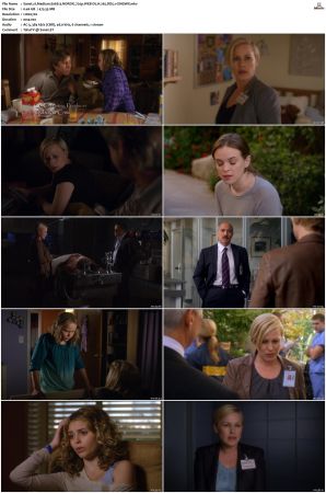 Medium S06 NORDiC 720p WEB-DL H 265 DD5 1-CiNEMiX