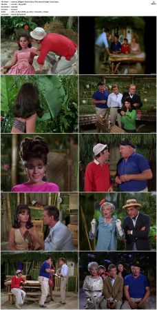 Gilligans Island S01 S03 DVDRip H264-NGP