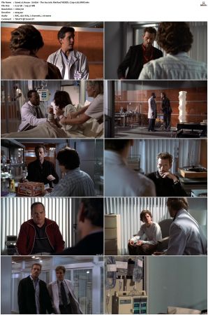 House S01-08 SUPER-PACK 720p WEB-DL AAC x265-BMF