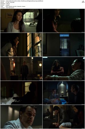 Marvels Iron Fist S01 S02 720p Bluray AAC x265-BMF