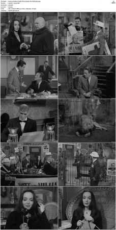 The Addams Family 1964 S01 S02 DVDRip X264-NGP