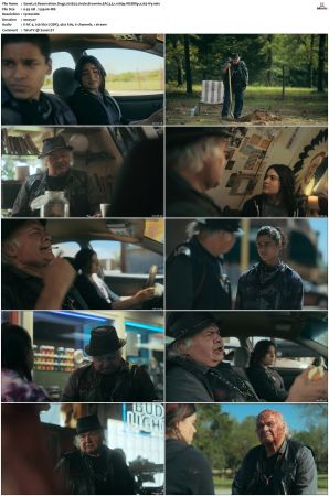 Reservation Dogs S01 S03 WEBRip EAC3 5 1 1080p x265-iVy
