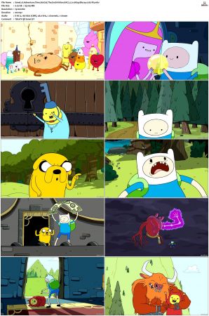 Adventure Time 2008 S01-S10 + Fionna and Cake 1080p Bluray EAC3 2.0 x265-iVy