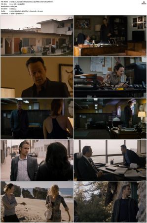 True Detective S01-S04 COMPLETE 720p BluRay x264-GalaxyTV