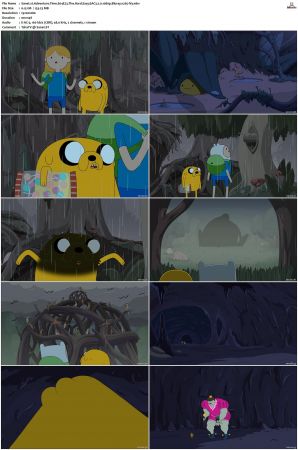 Adventure Time 2008 S01-S10 + Fionna and Cake 1080p Bluray EAC3 2.0 x265-iVy