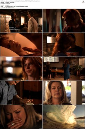 The Cleaner S01 S02 1080p AMZN WEBRip DDP 5 1 x265-iVy