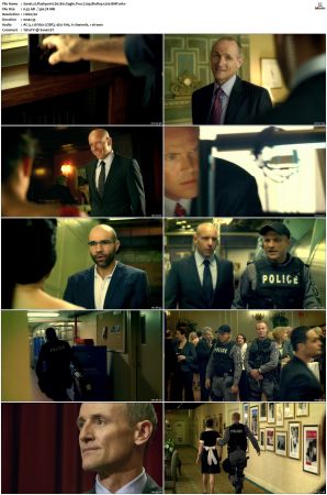 Flashpoint S01 S05 SUPER-PACK 720p BluRay x265-BMF