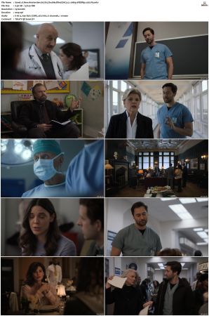 New Amsterdam S01 S05 WEBRip EAC3 5 1 1080p x265-iVy