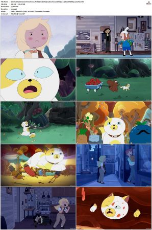 Adventure Time 2008 S01-S10 + Fionna and Cake 1080p Bluray EAC3 2.0 x265-iVy