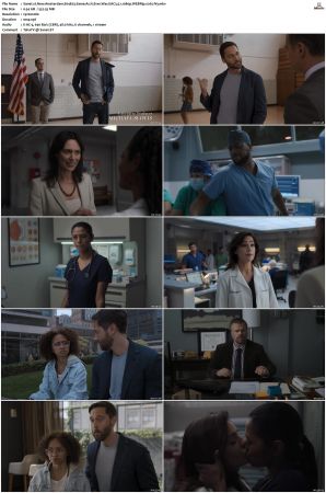 New Amsterdam 2018 S01-S05 1080p WEBRip EAC3 5.1 x265-iVy