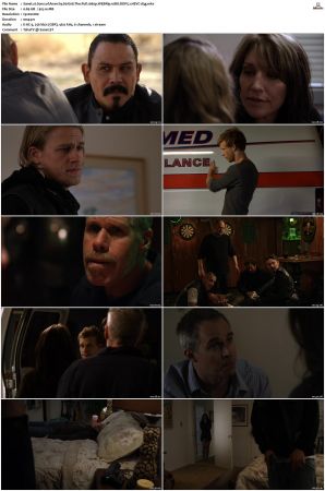 Sons of Anarchy S01 S07 SUPER-PACK 1080p WEBRip 10Bit DDP5 1 HEVC-d3g