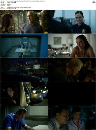Bosch Legacy S01 S02 SUPER-PACK 1080p AMZN WEBRip DDP 5 1 x265-iVy