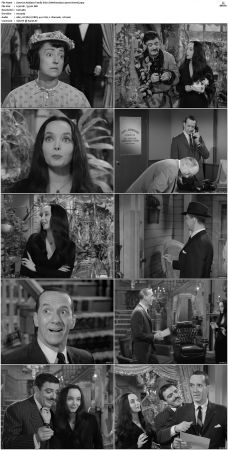 The Addams Family 1964 S01 S02 DVDRip X264-NGP