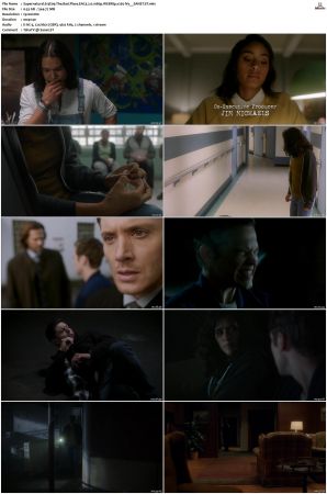 Supernatural S01 S15 WEBRip EAC3 2 0 1080p x265-iVy