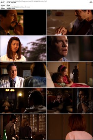 The Cleaner S01 S02 1080p AMZN WEBRip DDP 5 1 x265-iVy