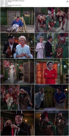 Gilligans Island S01 S03 DVDRip H264-NGP