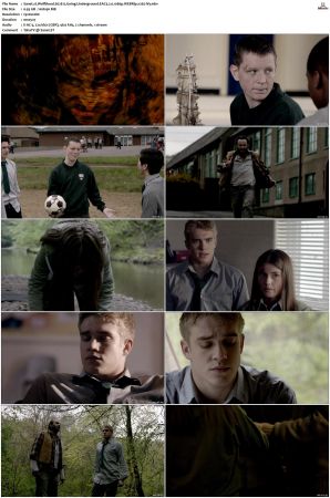 Wolfblood S01 S05 WEBRip EAC3 2 0 1080p x265-iVy