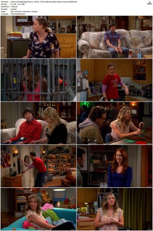 The Big Bang Theory S01 S12 SUPER-PACK Bluray 720p x265-BMF