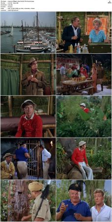 Gilligans Island S01 S03 DVDRip H264-NGP