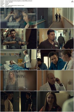 Remedy S01 S02 WEBRip EAC3 2 0 x265-iVy